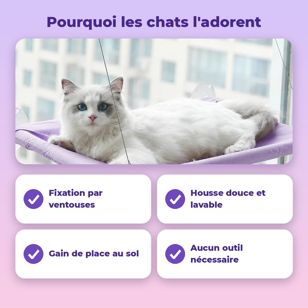 Avantages du hamac de fenêtre : ventouses, housse lavable, gain de place, aucun outil