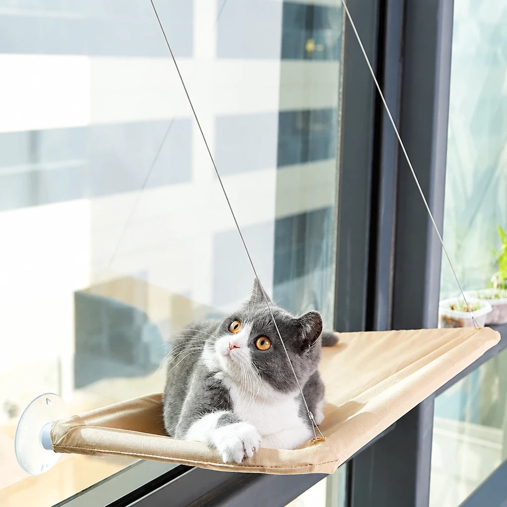 Hamac de fenêtre pour chat à ventouses, housse lavable
