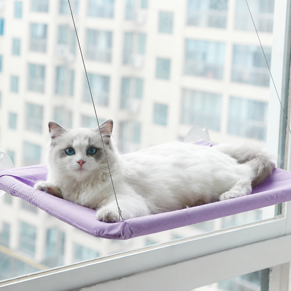 Hamac de fenêtre pour chat